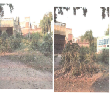 WINDHYA PHARMA 237241